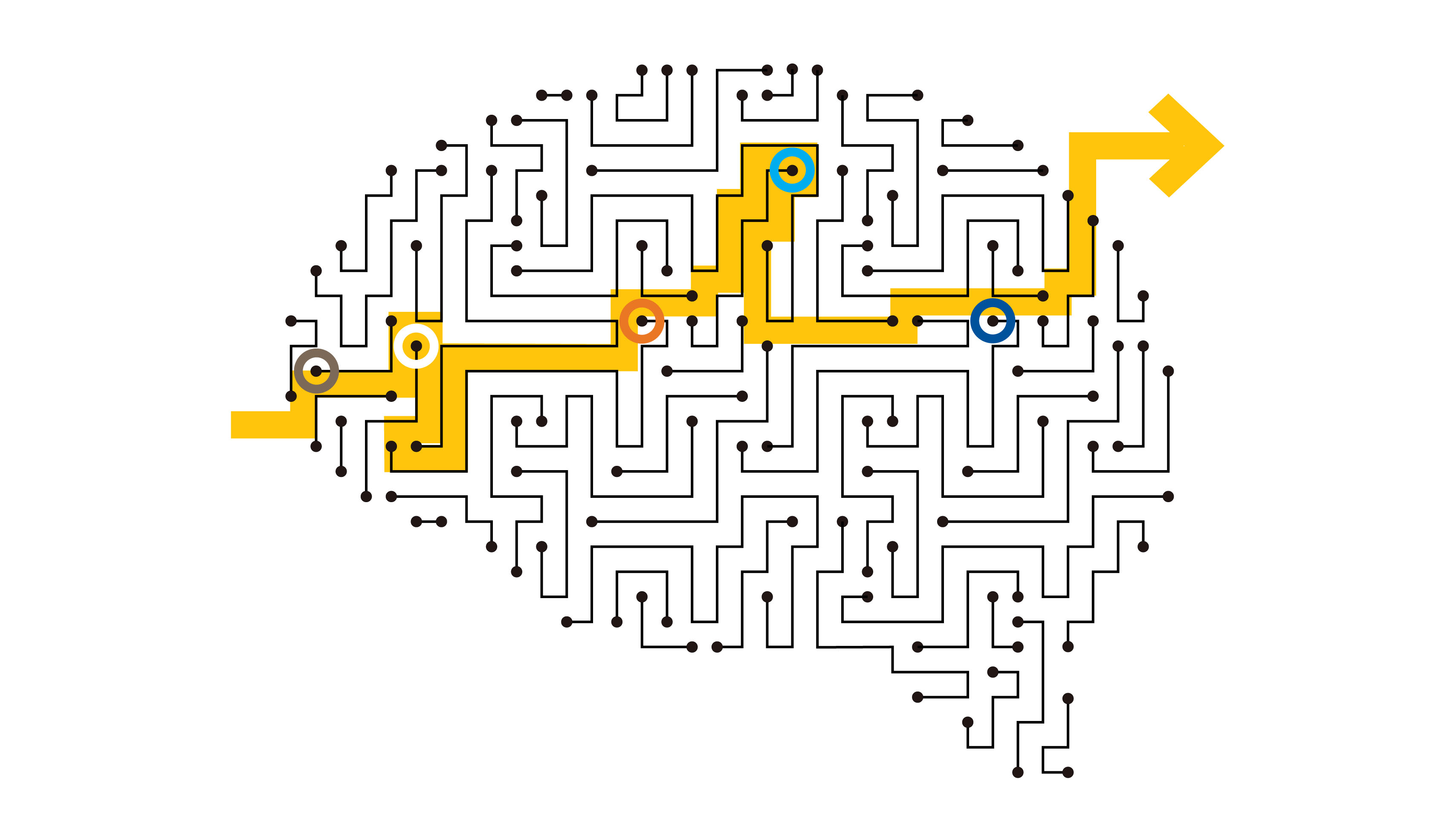 navigating-the-path-forward-for-dementia-in-canada-the-landmark-study